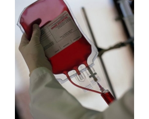实验室传真：追逐血液中的科研梦想